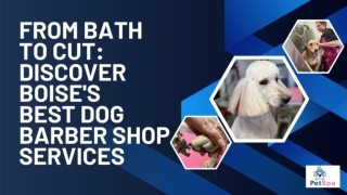 From Bath to Cut_ Discover Boise's Best Dog Barbar Shop Services