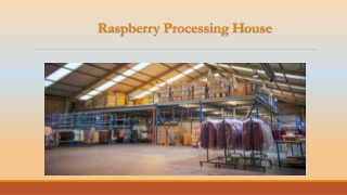 Trusted Professional Fashion Warehousing UK Services for Garment Brands
