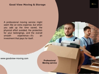 Professional Moving service