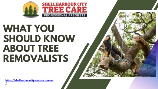 What You Should Know About Tree Removalists