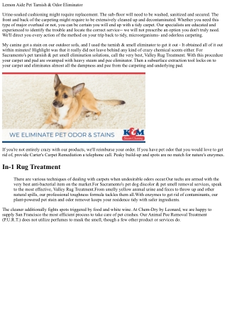 Pet Dog Smell And Stain Remover