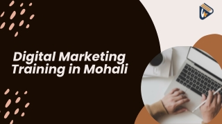 Digital Marketing Training in Mohali – Learn from Industry Experts