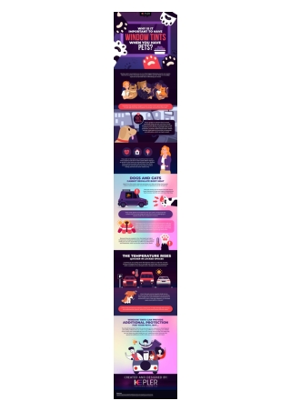 Why Is It Important to Have Window Tints When Have Pets