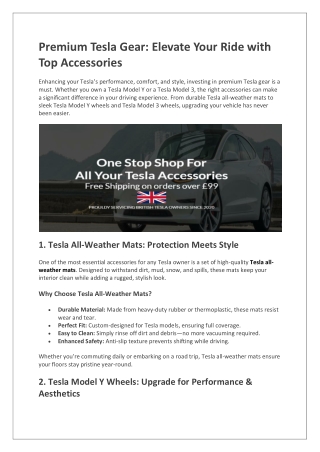 Tesla camping mattress