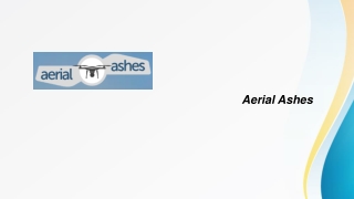 Dog Funeral Services for a Loving and Respectful Goodbye