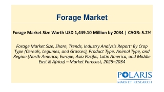 Forage Market