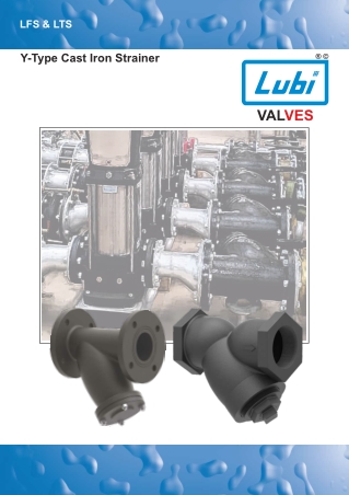 Y Type STRAINER (LFS & LTS Series)