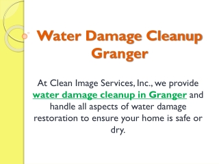 Water Damage Cleanup Granger