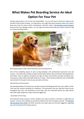 What Makes Pet Boarding Service An Ideal Option For Your Pet