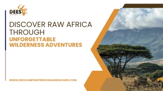 Discover Raw Africa Through Unforgettable Wilderness Adventures