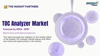 TOC Analyzer Market