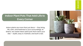 Indoor Plant Pots That Bring Your Space to Life