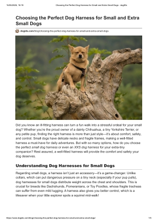 Choosing the Perfect Dog Harness for Small and Extra Small Dogs