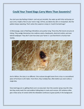 Could Your Travel Bags Carry More Than Souvenirs