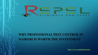 Why Professional Pest Control in Nairobi is Worth the Investment