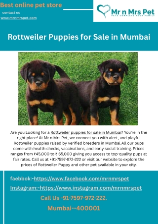 Best online pet store