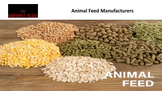 Animal Feed Manufacturers