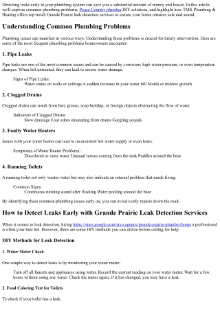 How to Detect Leaks Early with Grande Prairie Leak Detection Services