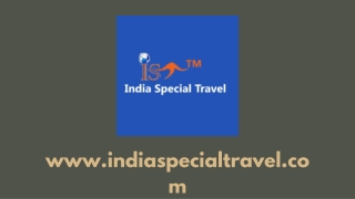 Golden triangle tour Package