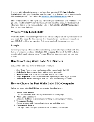 best white label seo companies