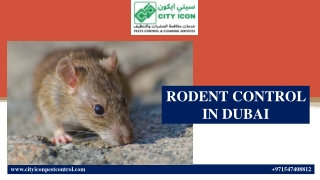 RODENT CONTROL IN DUBAI