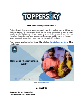 How Does Photosynthesis Work