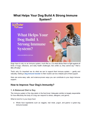 What Helps Your Dog Build A Strong Immune System