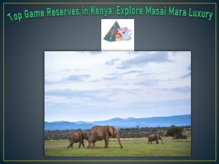 Top Game Reserves in Kenya Explore Masai Mara Luxury