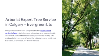 Expert Arborist Tree Service in Calgary – Evergreen Ltd