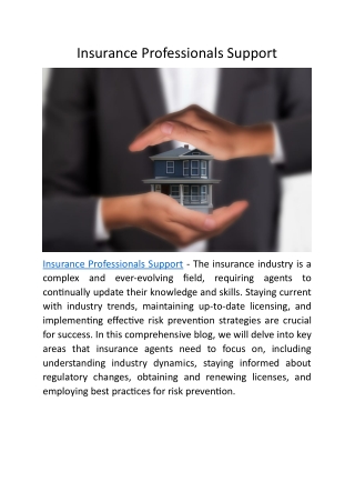 Insurance Professionals Support