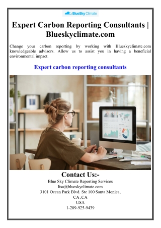 Expert Carbon Reporting Consultants | Blueskyclimate.com