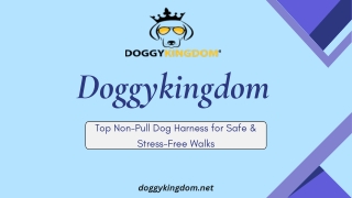 Top Non-Pull Dog Harness for Safe & Stress-Free Walks