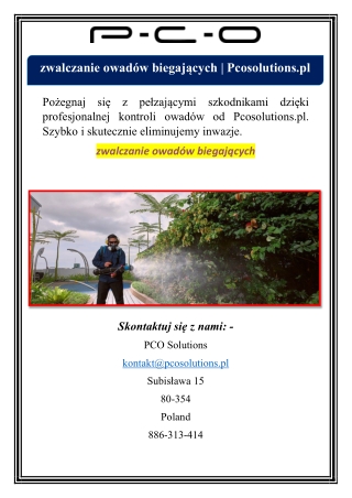 zwalczanie owadów biegających | Pcosolutions.pl