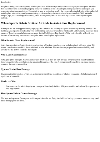 When Sports Debris Strikes: A Guide to Auto Glass Replacement