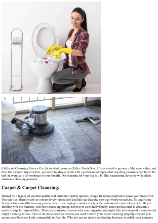 Commercial Rug Cleaning