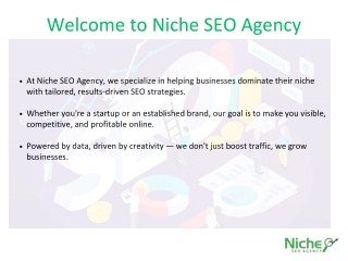 Niche_SEO_Agency_