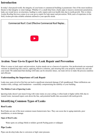 Avalon: Your Go-to Expert for Leak Repair and Prevention