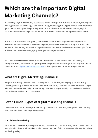 Which are the important Digital Marketing Channels