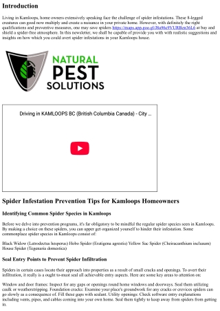 Spider Infestation Prevention Tips for Kamloops Homeowners