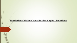 Borderless Vision Cross Border Capital Solutions