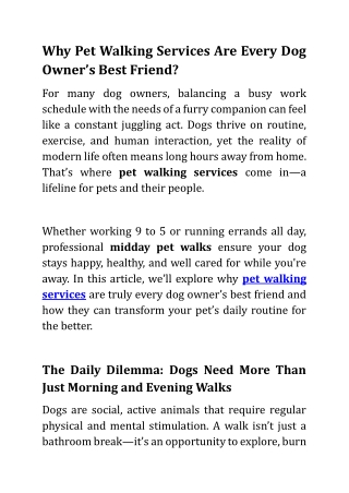 Why Pet Walking Services Are Every Dog Owners Best Friend