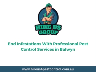 End Infestations With Professional Pest Control Services in Balwyn