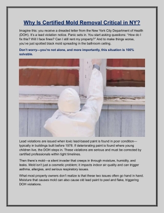 Why Is Certified Mold Removal Critical in NY?