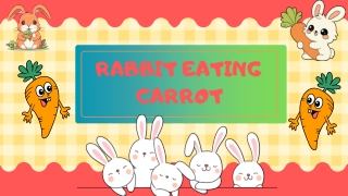 Can Rabbits Eat Carrots? A Healthy Match or a Myth
