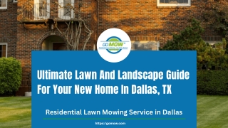 Ultimate Lawn And Landscape Guide For Your New Home In Dallas, TX