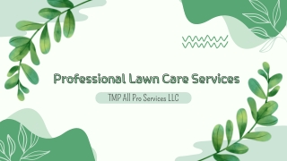 Lawn Care Services in Buffalo & Western New York
