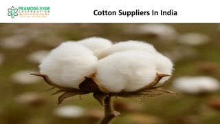 Cotton Suppliers In India