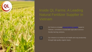 Inside QL Farms A Leading Natural Fertilizer Supplier in Vietnam