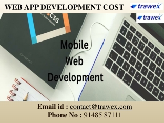 WEB APP DEVELOPMENT COST