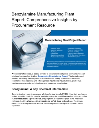 Benzylamine Manufacturing Plant Report - Comprehensive Insights by Procurement Resource